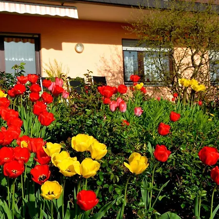 Appartement Abendsonne Neckargemünd